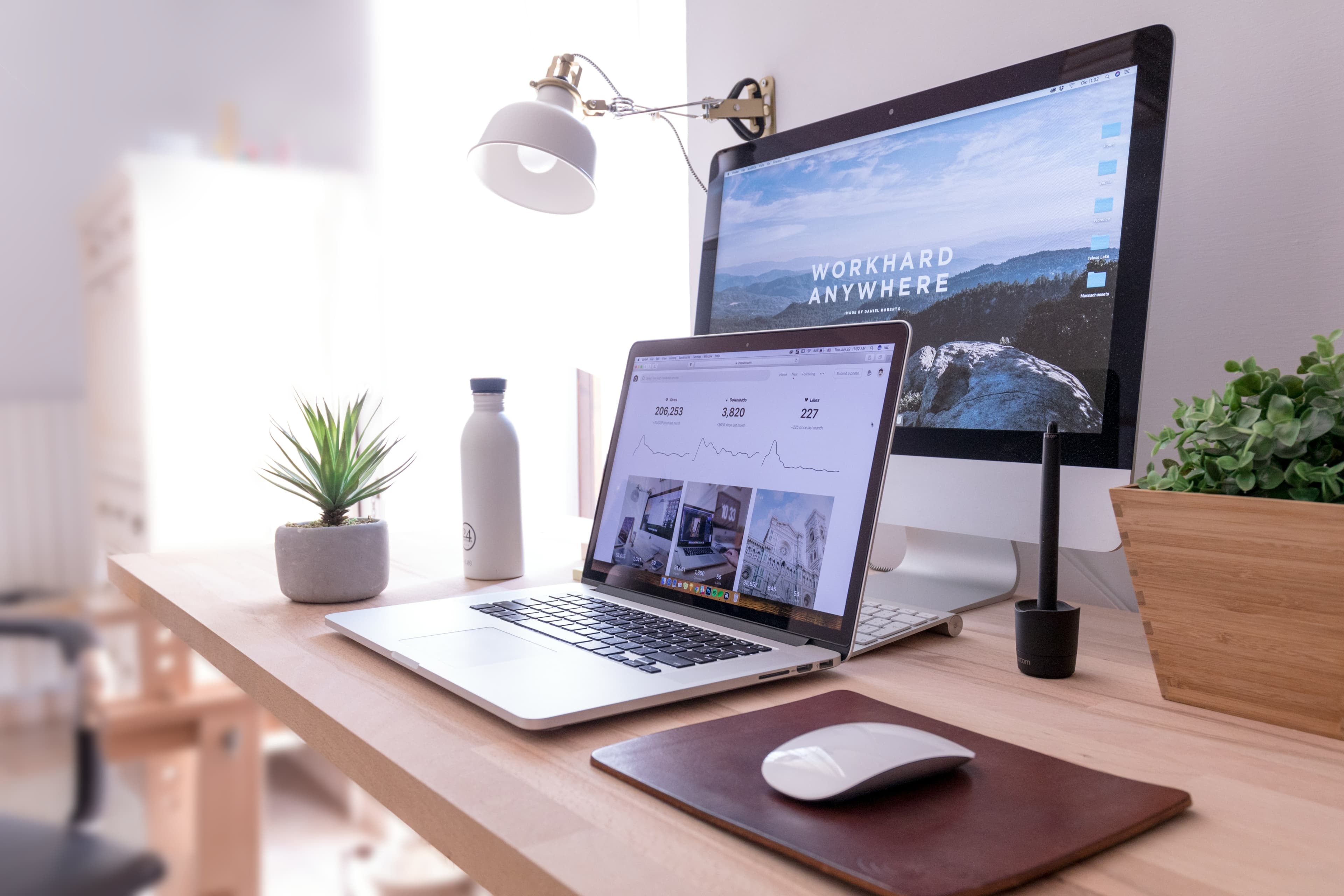 Web Design & Development
